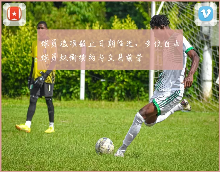 球员选项截止日期临近，多位自由球员权衡续约与交易前景