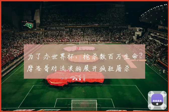 为了办世界杯，枪杀数百万生命？摩洛哥对流浪狗展开疯狂屠杀